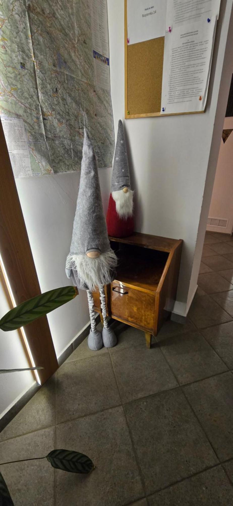 Jastrzab Apartment Ropienka Luaran gambar